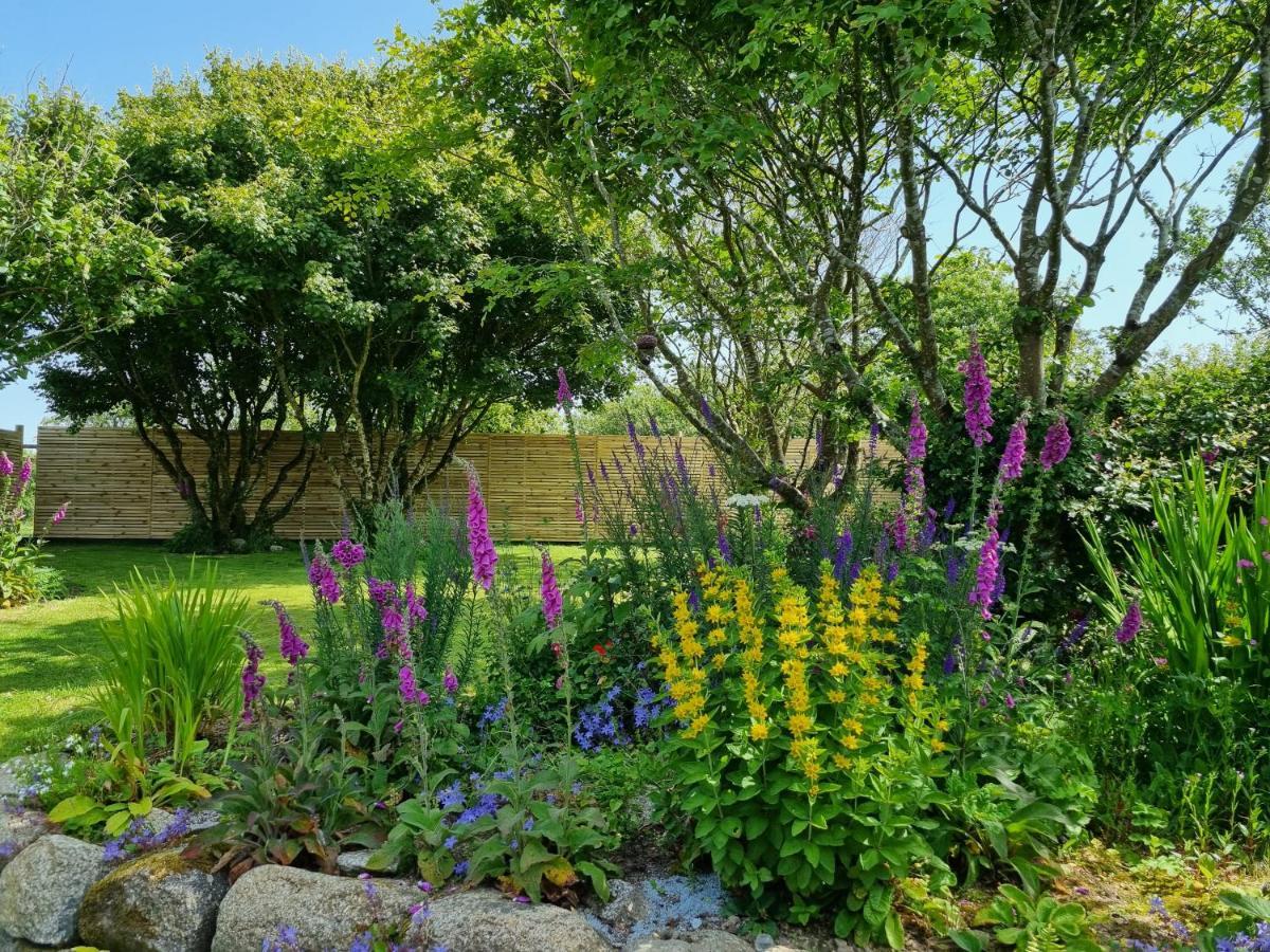 Hallegan Annexe With Private Garden And Woodland Camborne Dış mekan fotoğraf
