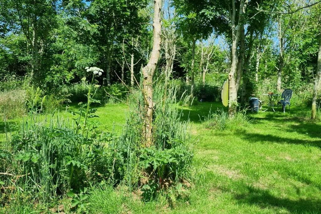 Hallegan Annexe With Private Garden And Woodland Camborne Dış mekan fotoğraf